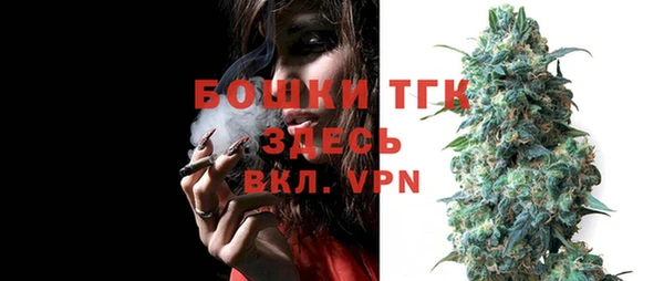 дмт Аркадак