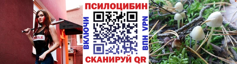 Галлюциногенные грибы Psilocybe Волхов