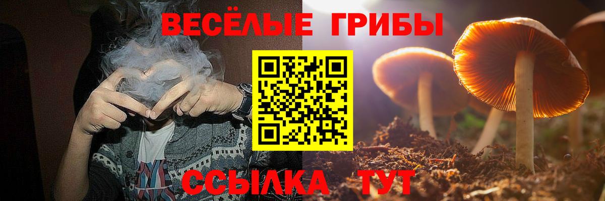 Волхов  Галлюциногенные грибы ЛСД  Вход с VPN 